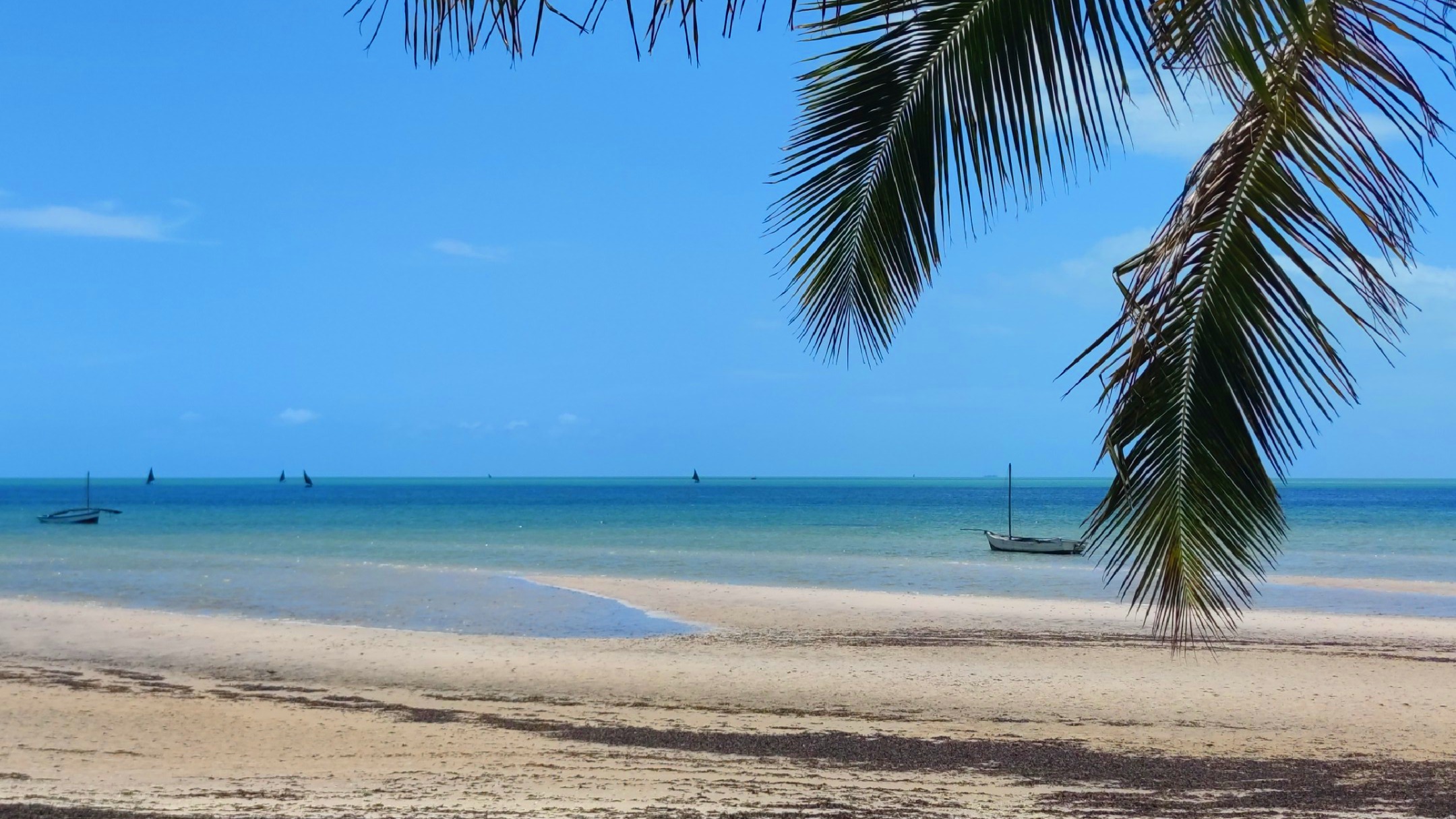 Slow travel: il modo più naturale di esplorare il mondo