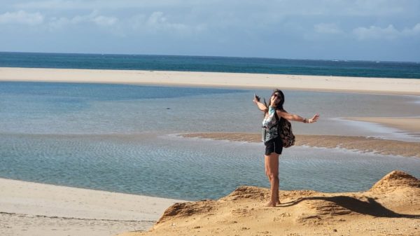 Animali in safari: le 9 specie più sottovalutate ma fondamentali